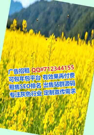 岚皋代母电子商务工作室